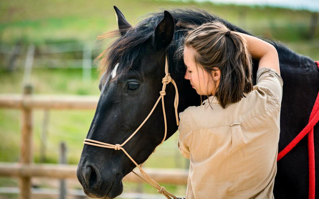 Étude de cas : la communication en ligne d&rsquo;une praticienne en Shiatsu équin
