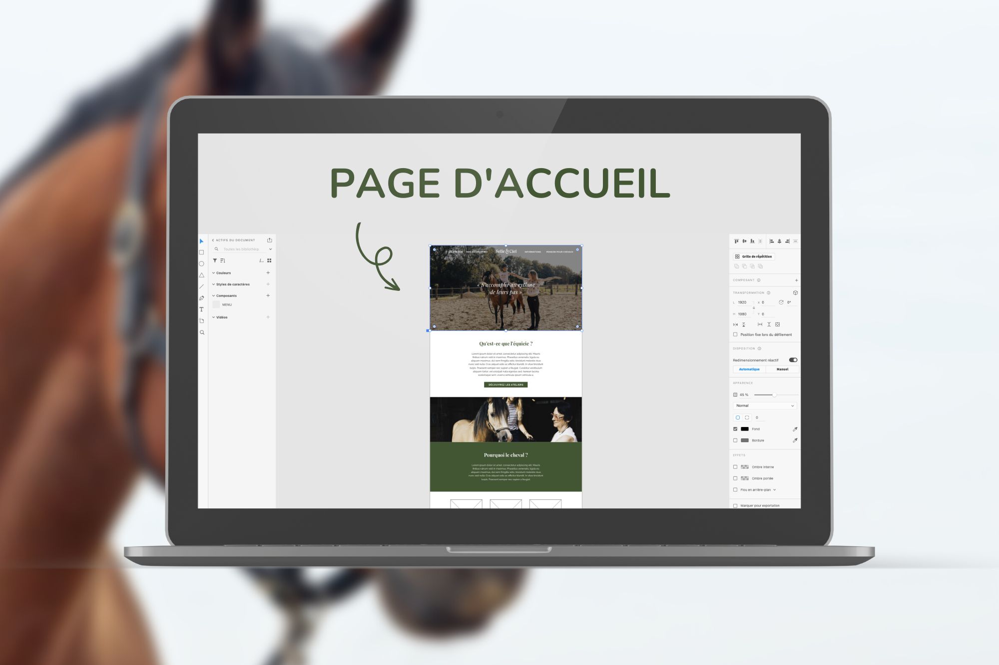 quel contenu mettre sur la page d'accueil de son site internet 