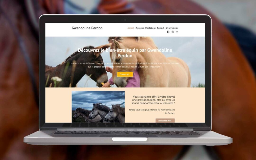 3 solutions pour créer son site web