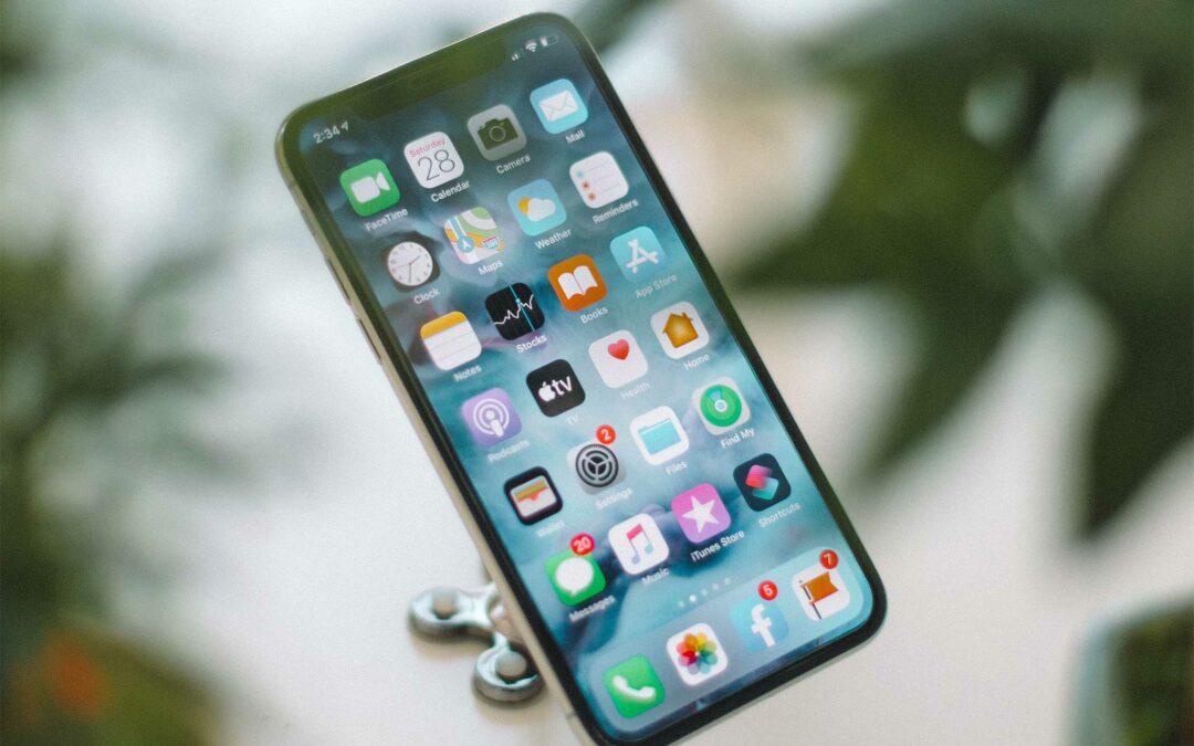 Quels réseaux sociaux choisir pour une entreprise en lien avec les animaux ?