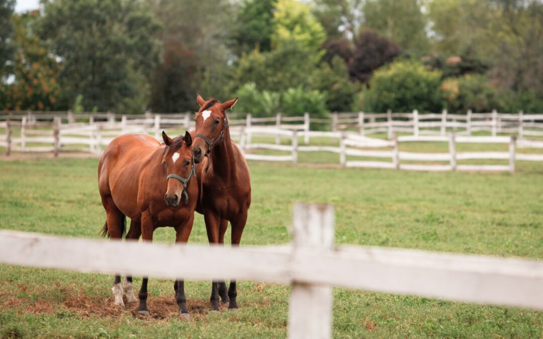 Créer une newsletter en 5 étapes