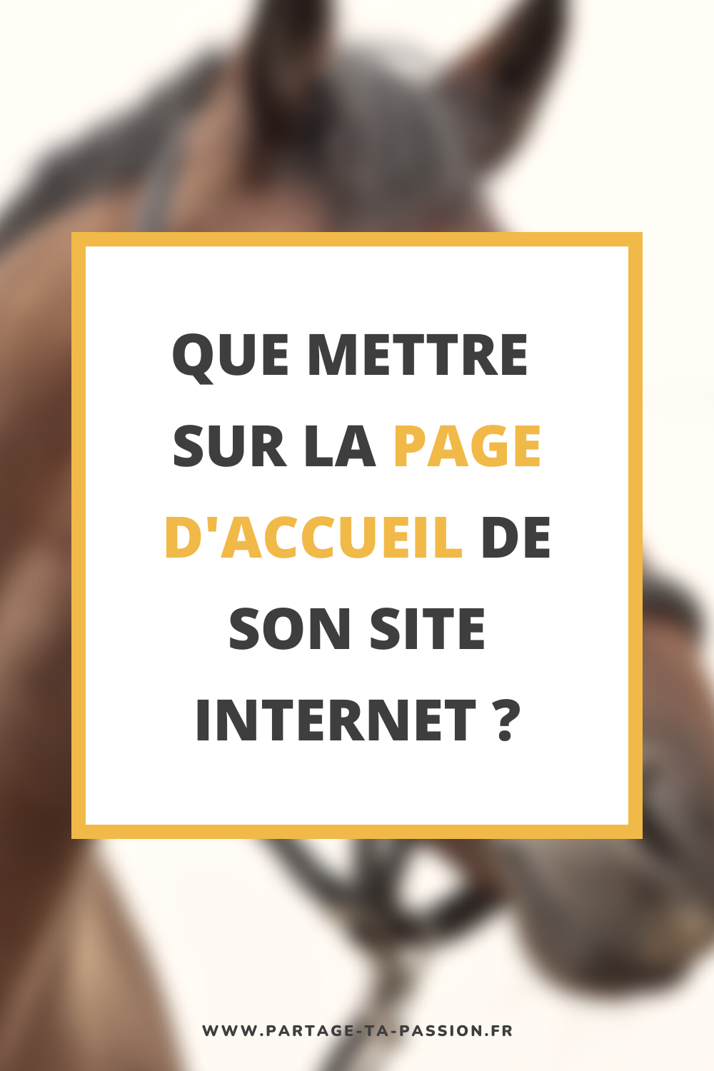 que mettre sur la page d'accueil de son site internet