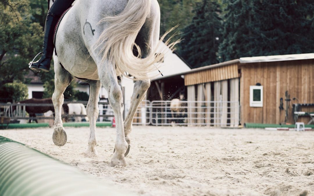 Créer un évènement Facebook avec sa page professionnelle